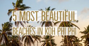 Read more about the article 5 Most beautiful beaches in Phi Phi islands