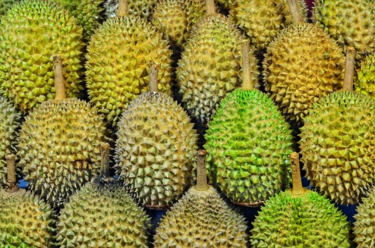 10-facts-about-thai-food-and-eating-in-thailand-fresh-durian
