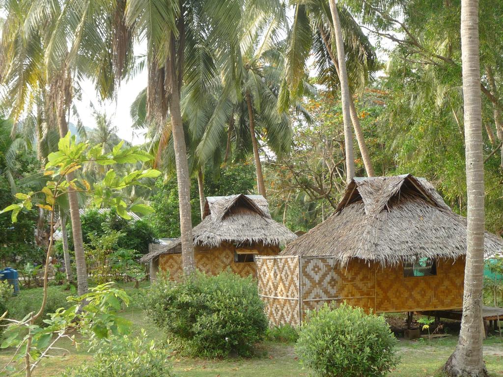 coco-lodge-bamboo-huts-in-koh-mook-palm-trees-thailand