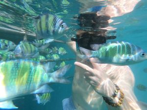 pirate-boat-day-trip-koh-phi-phi-thailand-snorkeling