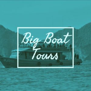 Big Boat Tours