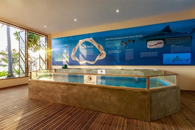 marine-discovery-centre-koh-phi-phi-shakr-room