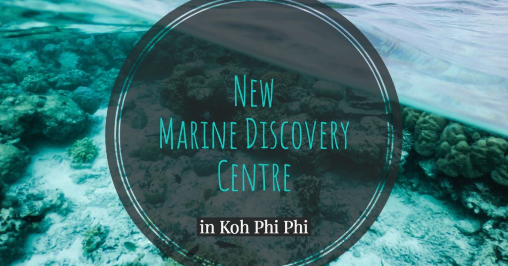 You are currently viewing Marine Discovery Centre Koh Phi Phi