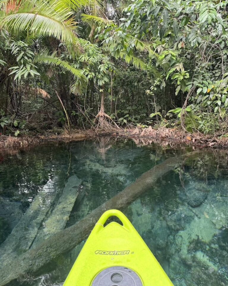 things-to-do-in-krabi-aonang-visa-travel-phi-phi-kayaking