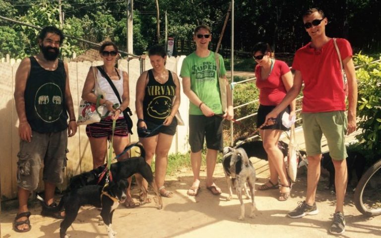 koh-lanta-animal-welfare