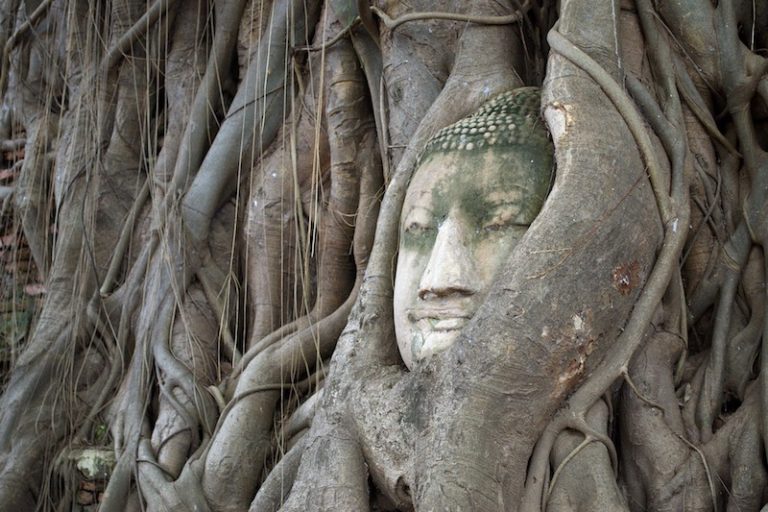 ayutthaya-hystorical-park-thailand-visa travel-phi-phi