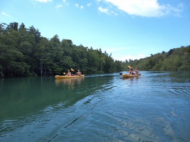 koh-yao-yai-mangrove-kayaking-thailand-what-to-do