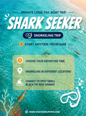shark-seeker-snorkeling-phiphi-island-thailand-visa-travel-phiphi-boat-trip
