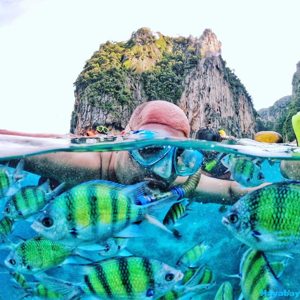 maya-bay-sleepaboard-fish