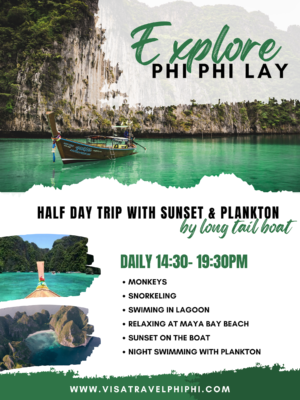 Half Day Tour by Long Tail Boat with Sunset and Plankton