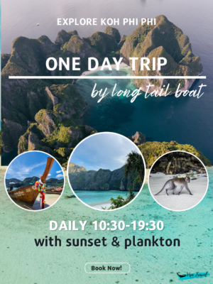 One Day Tour by Longtail Boat with Sunset & Plankton