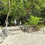 hong-island-tour-by-private-long-tail-boat-krabi-beach
