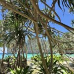 group budget trip koh phi phi long tail boat visa travel6