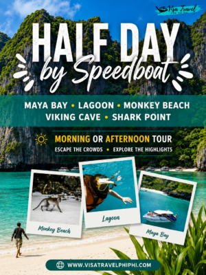 half-day-by-speedboat-koh-phi-phi-visa-travel