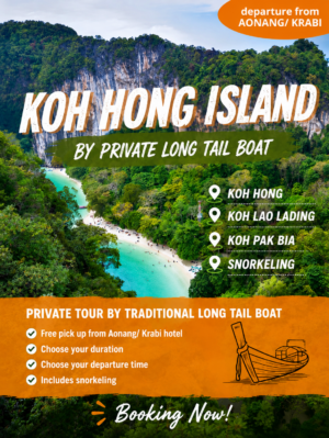 hong-island-private-long-tail-boat-visatravel-phiphi-krabi-laolading-longtail